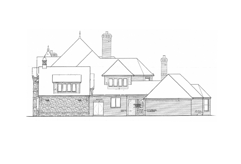 Country House Plan Left Elevation - Newstead Manor Luxury Home 036D-0203 - Shop House Plans and More